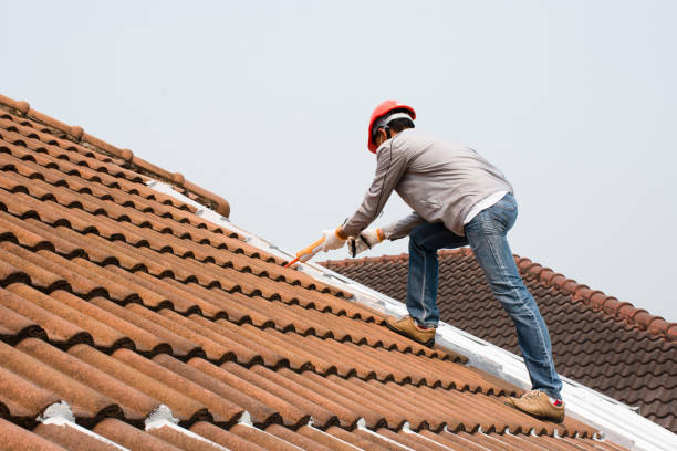 Best Roof Maintenance  in Watonga, OK